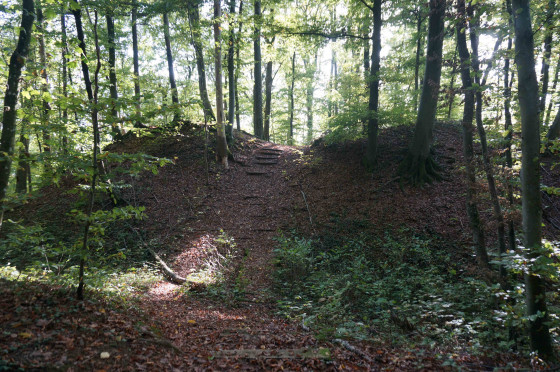 Hohburg