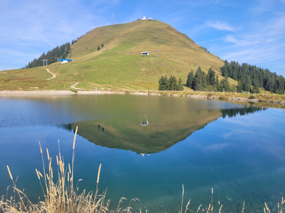 Hohe Salve