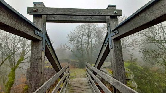 Holzbrücke auf dem Gipfel der Ruine Schellenberg