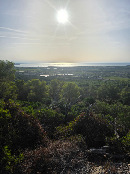 Horizon