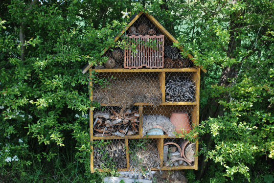 Hôtel à insectes