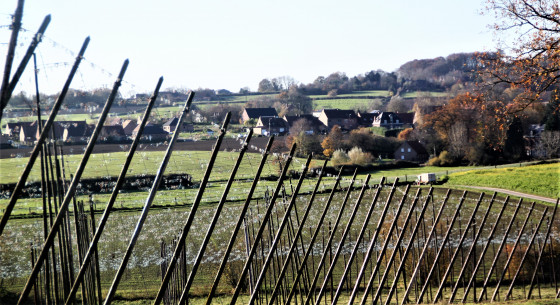 Houblonnières