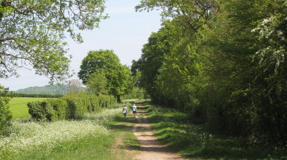 Icknield Way