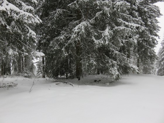 Il neige