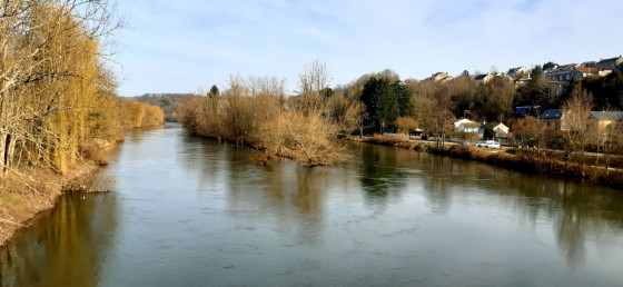 Ile aux castors sur la Meuse