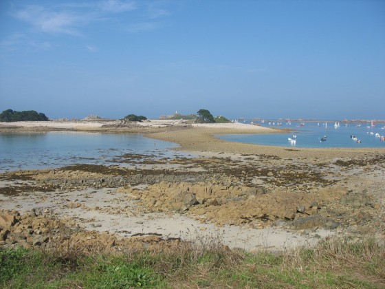 Circuit au départ de Port Blanc le Royau