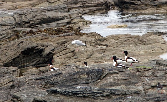 Ile de Groix