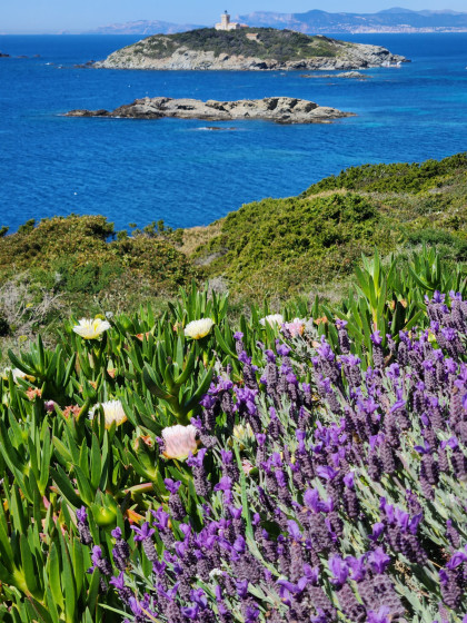 Ile petit Rouveau