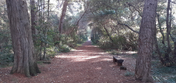 Île Saint-Honorat