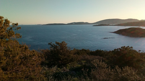 Iles Cerbicales
