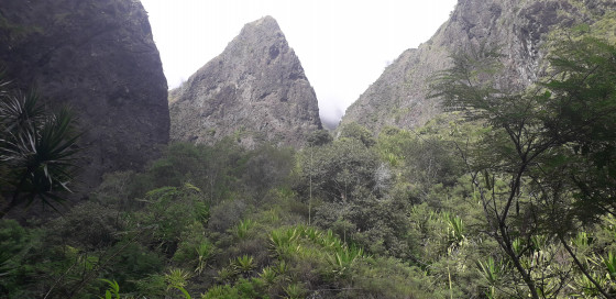Environnement du sentier