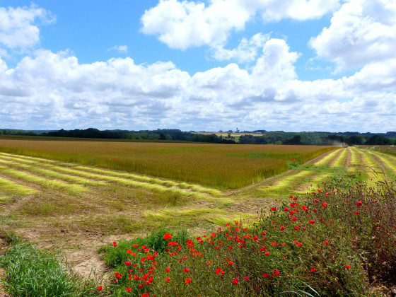 Impasse de la Linerie, Hameau de Miquetot