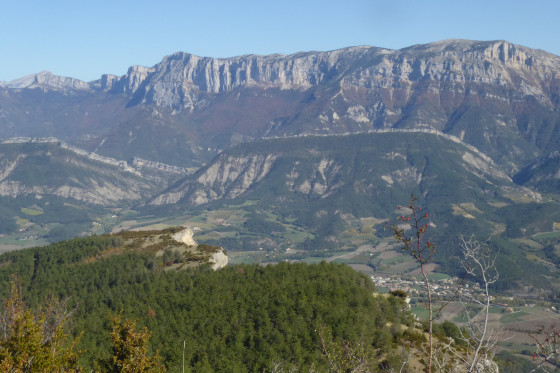 Imposant Glandasse