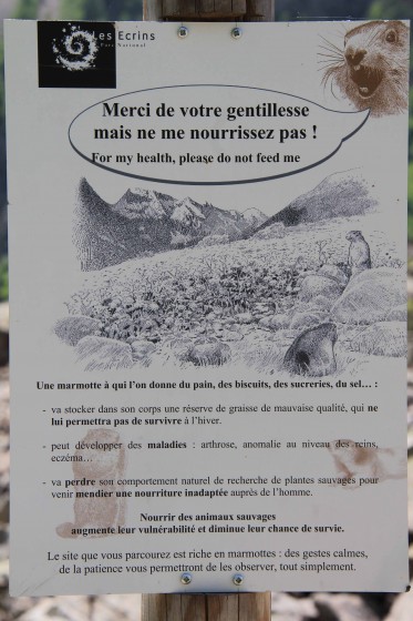 Info les Marmottes
