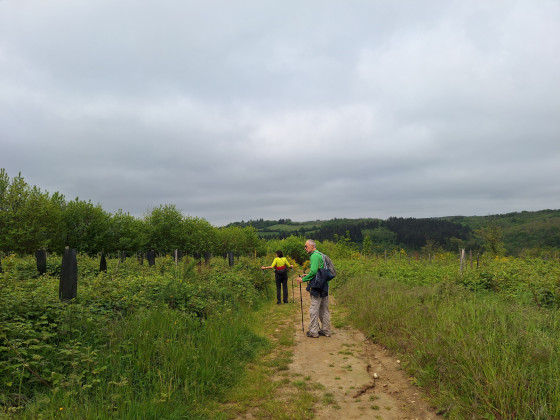 Vue sur la campagne et le sentier