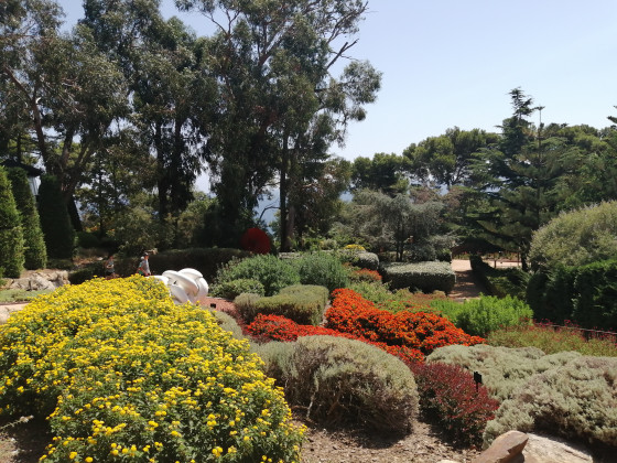 Jardin botanique 1
