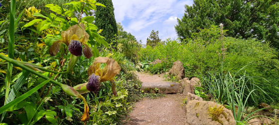 Jardin botanique de Saverne