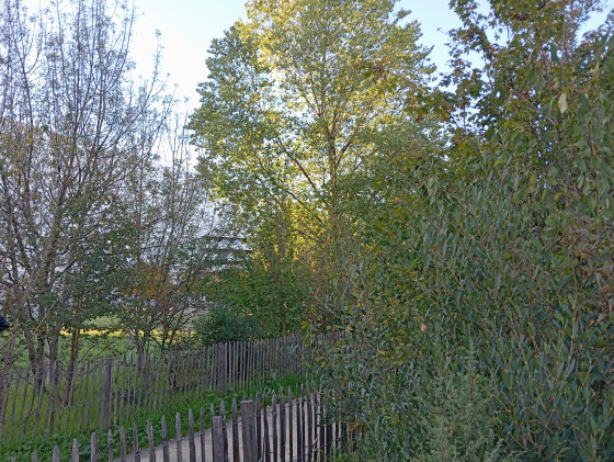 Jardin de la Grenouill&egrave;re