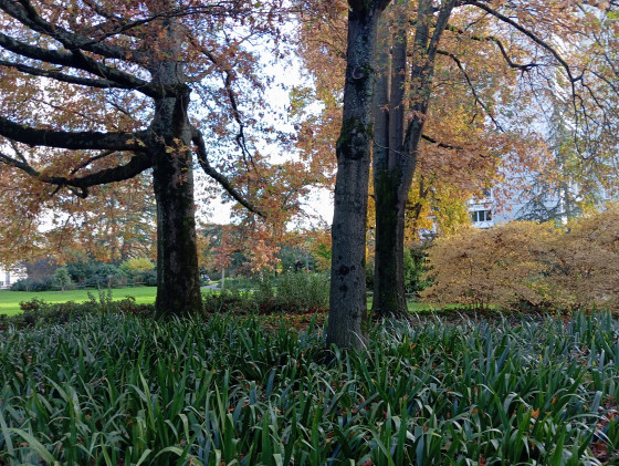 Jardin des Barrières