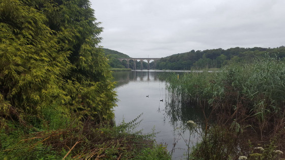 Jardin des Bords de l'Anse, Relecq-Kerhuon