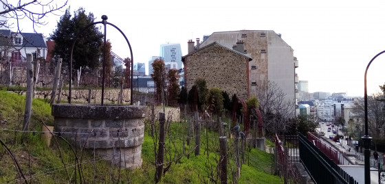 Jardin des Vignes Jardin des Vignes