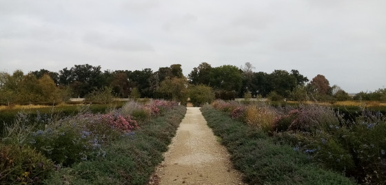 Jardin du Château de Talcy
