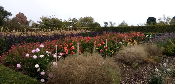 Jardin du Ch&acirc;teau de Talcy