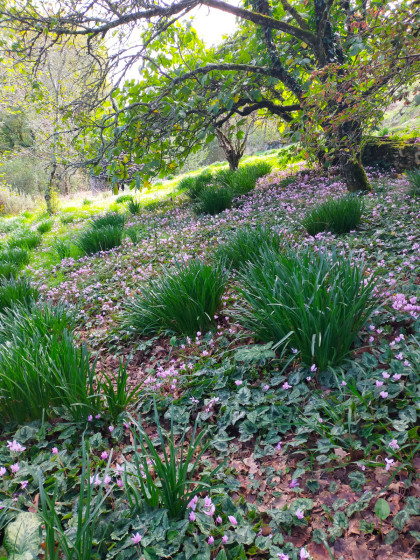 Jardin en automne, entre passages 8 et 9
