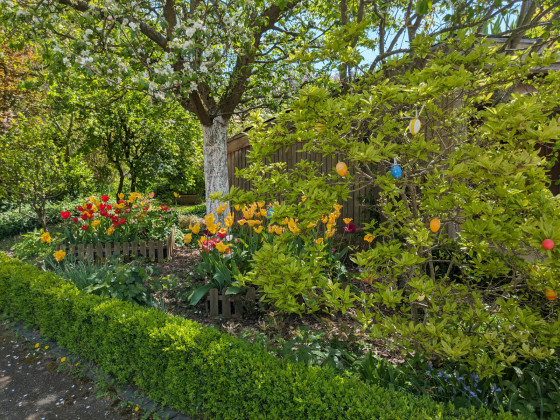 Jardin fleuri