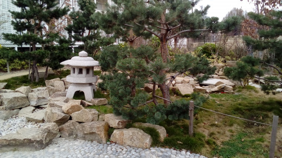 Jardin japonais Jardin japonais