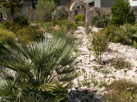 Jardin méditerranéen