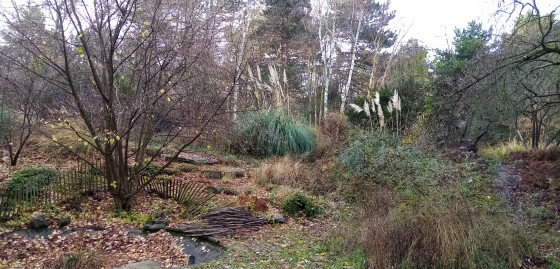 Jardin Ombre et Lumière
