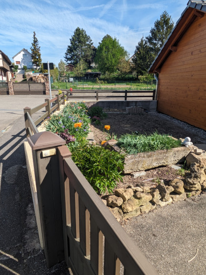 Jardin potager