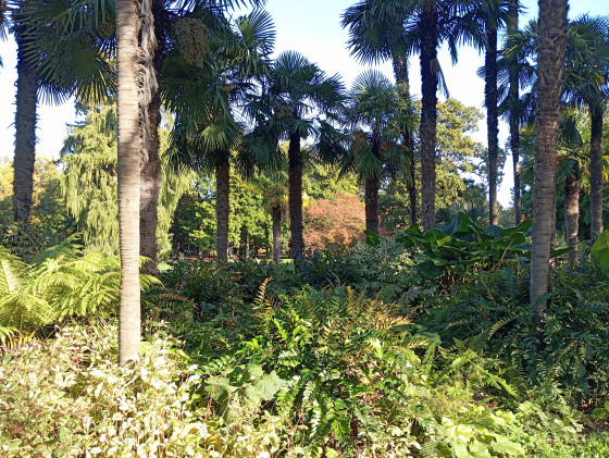 Jardin Public