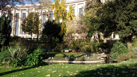 Jardin
