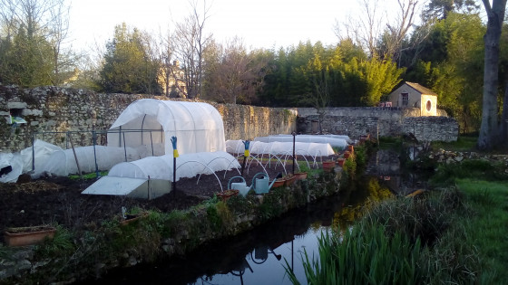 Jardin au bord de l\'eau