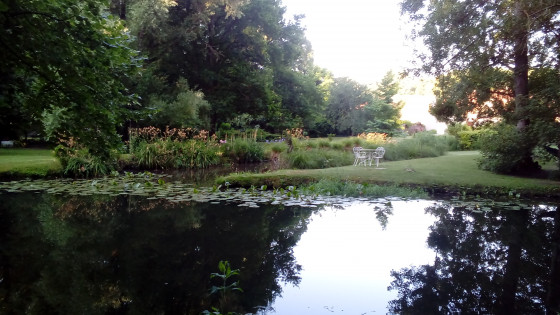 Jardin