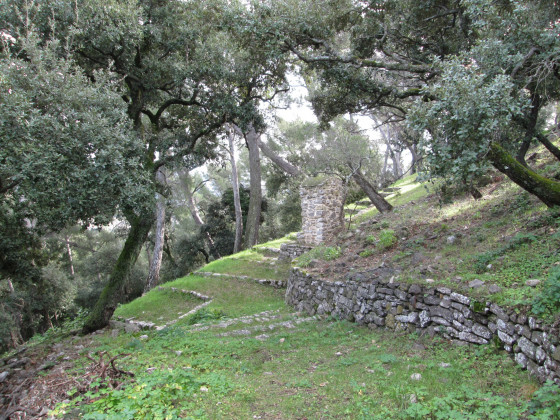 Jardins du sanctuaire