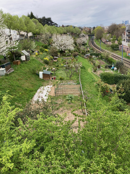 Jardins familiaux sur les hauteurs de Saint-Cloud