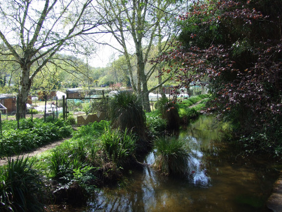 Jardins familiaux