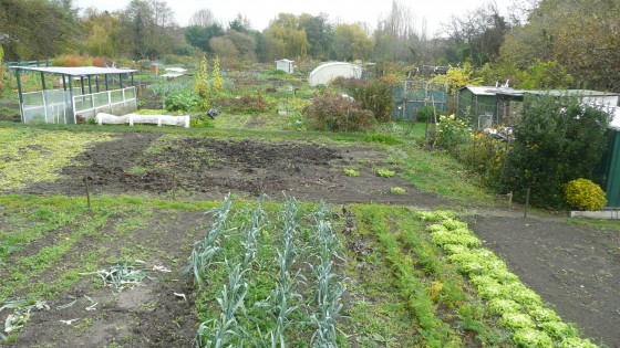 Jardins potagers