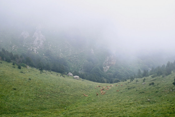 Jasse de l'Ouillat