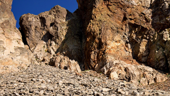 Jeune bouquetin sous le col de la Combe