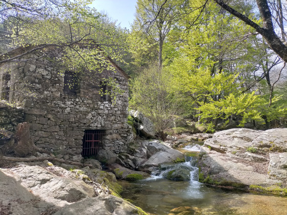 Joli moulin au ruisseau d'Arles