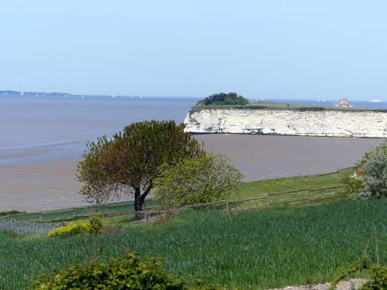 joli paysage