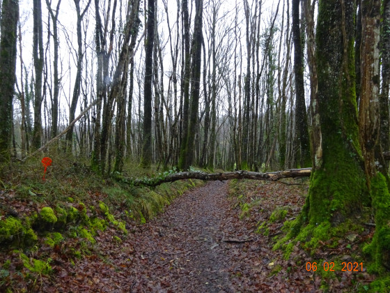 joli promenade