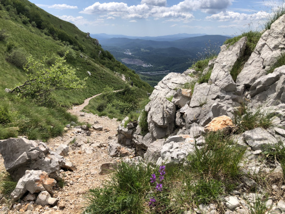 Joli sentier.