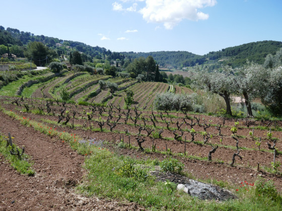 Jolie campagne