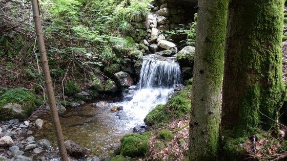 Jolie cascade