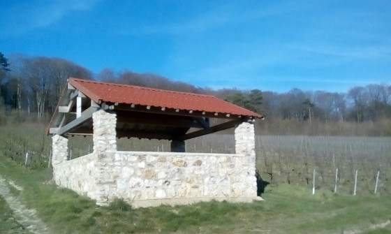 Jolie loge de vigne